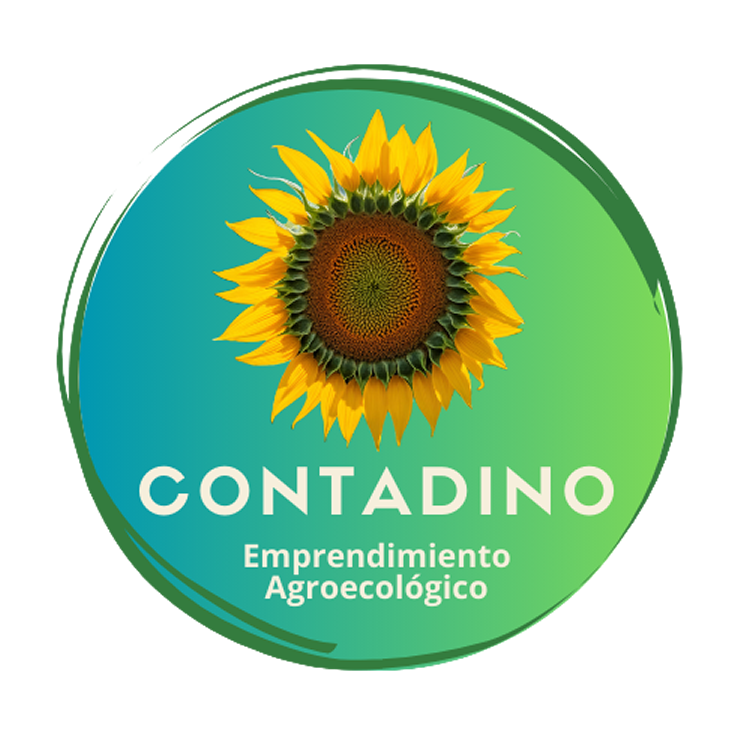Contadino